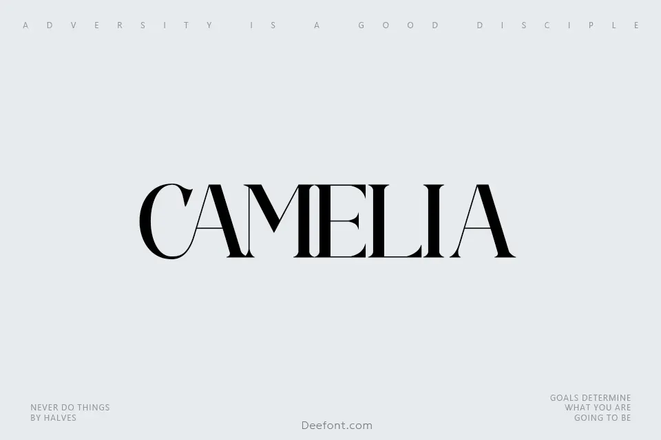 Camelia Serif Font