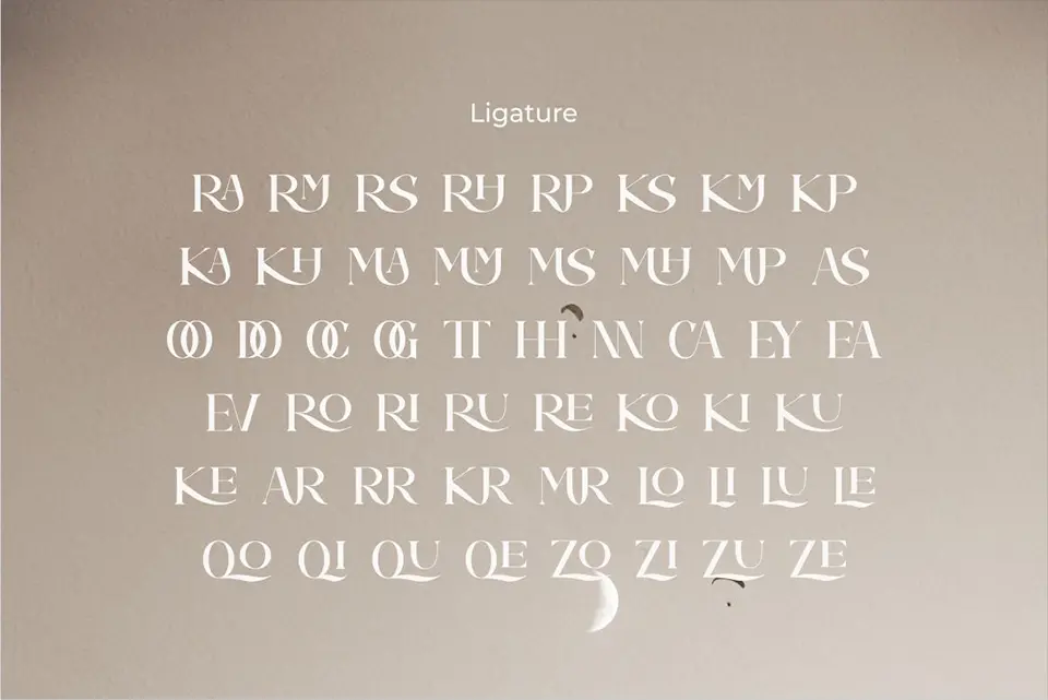 Camelia Serif Font