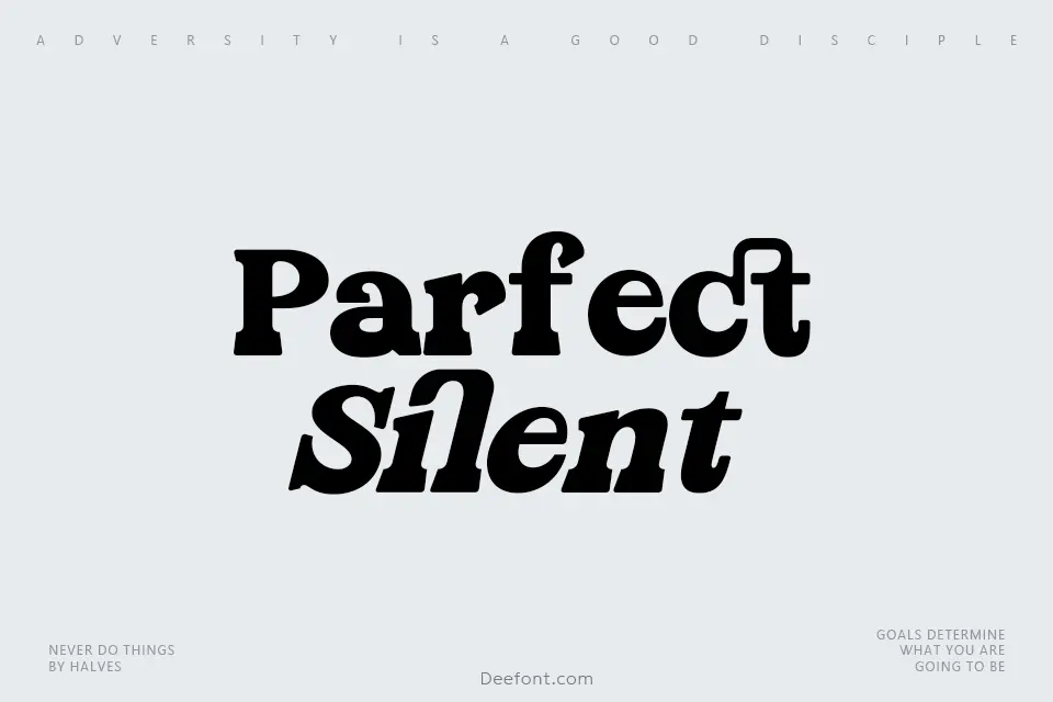 Parfect Silent Font