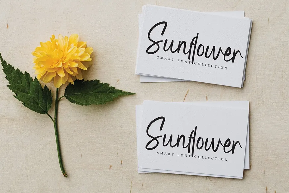 Boyfriend Script Font