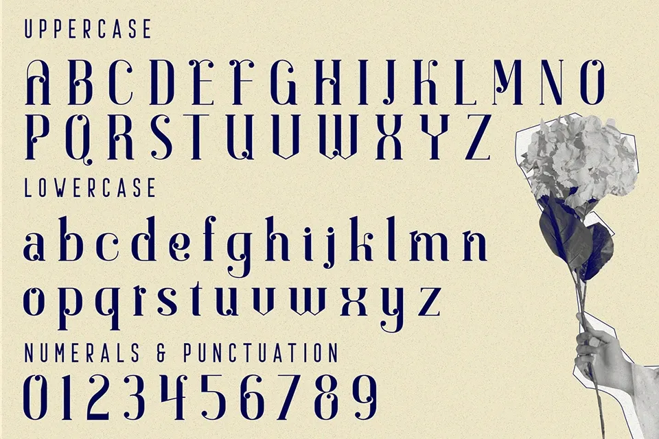 Choose Elegant Font