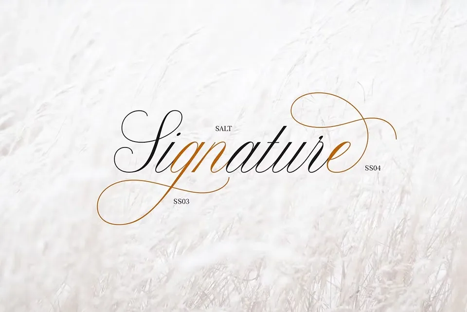 Claudya Script Font