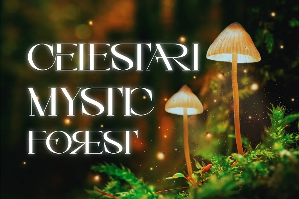 Fantasy Narratives Font