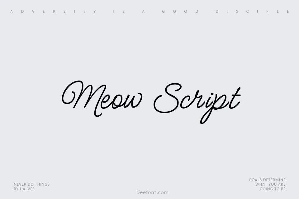 Meow Script Font