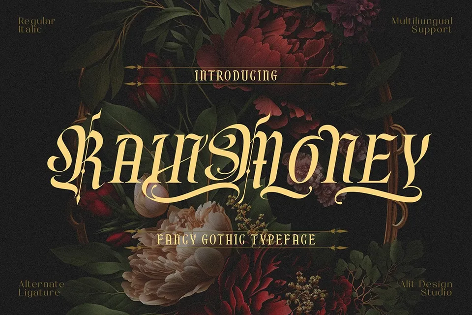 Rain Money Font