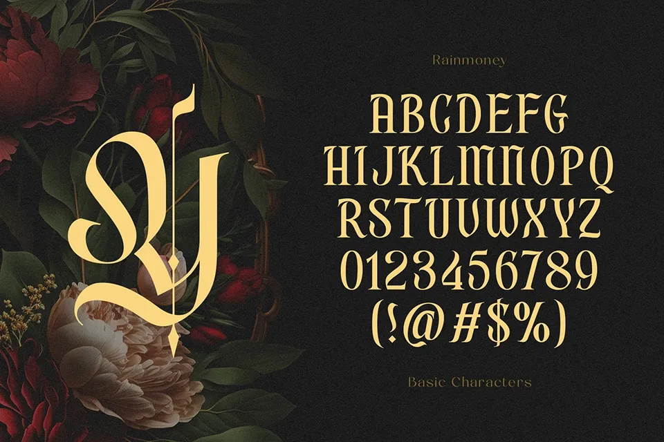 Rain Money Font