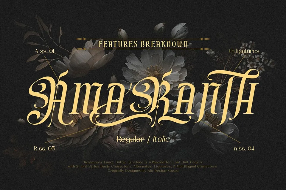 Rain Money Font