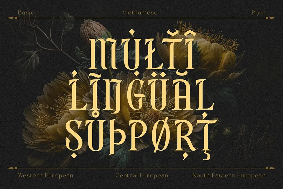 Rain Money Font