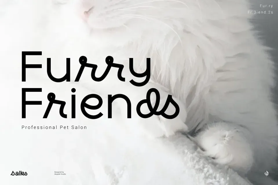 Salks Font