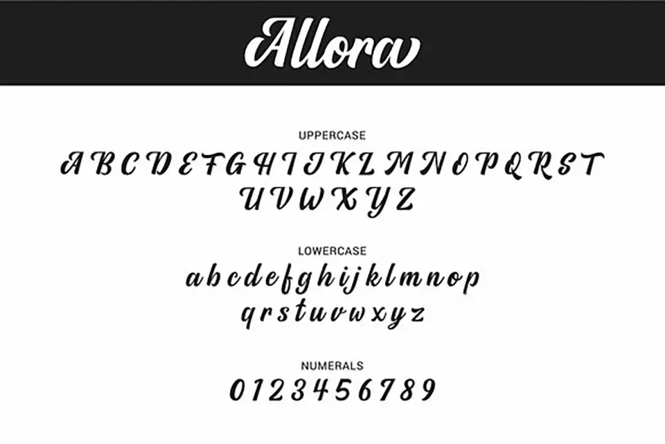 Allora Script Font