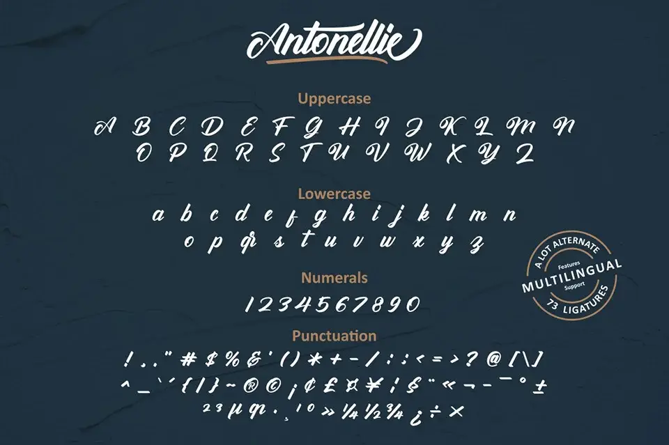 Antonellie Calligraphy Font