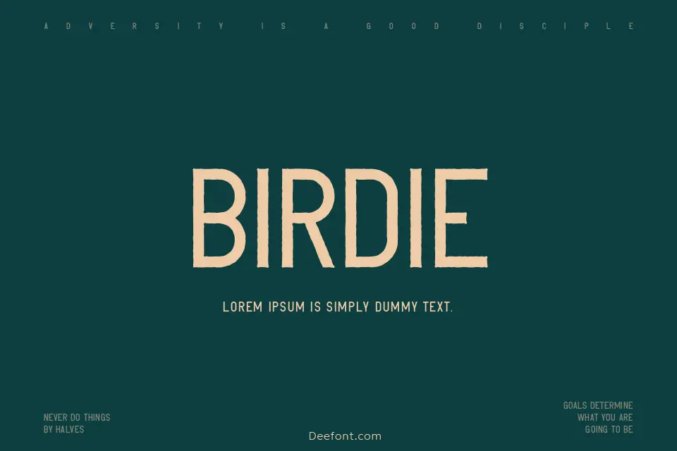 Birdie Font