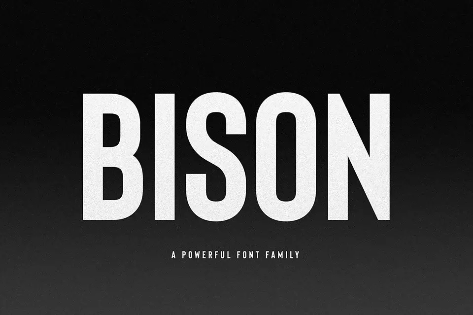 Bison Font download