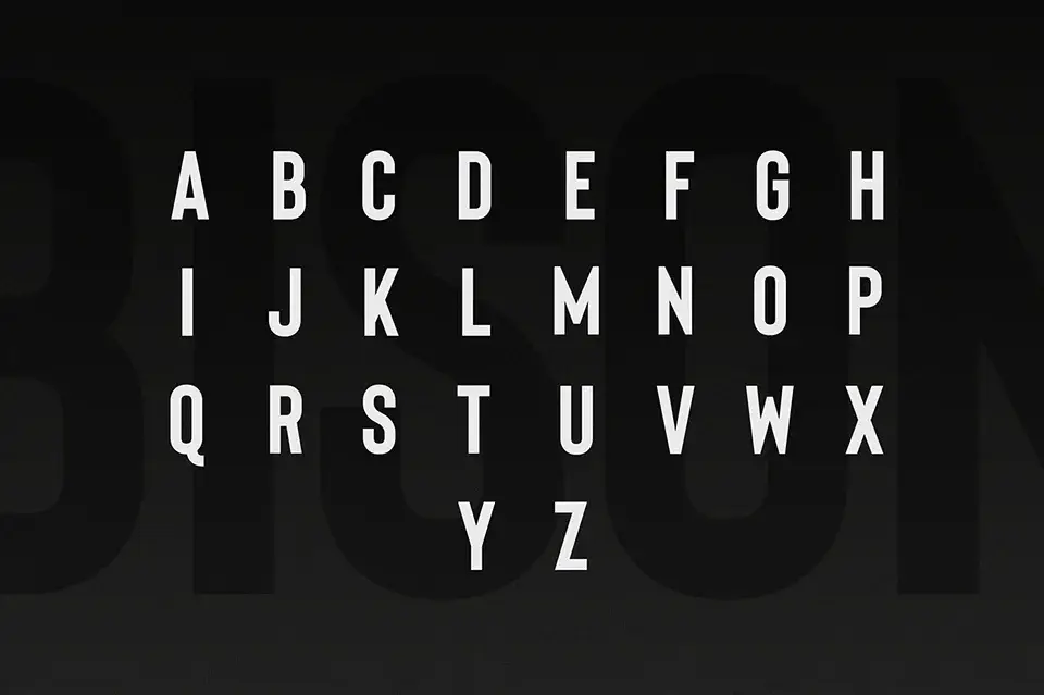 Bison Font download