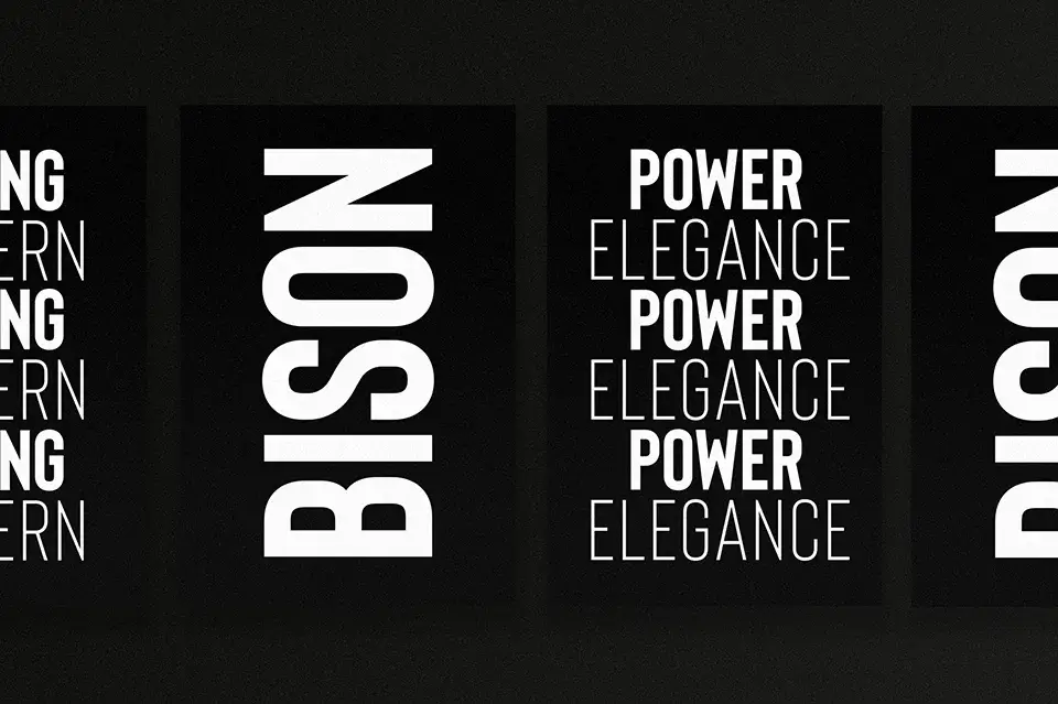 Bison Font download