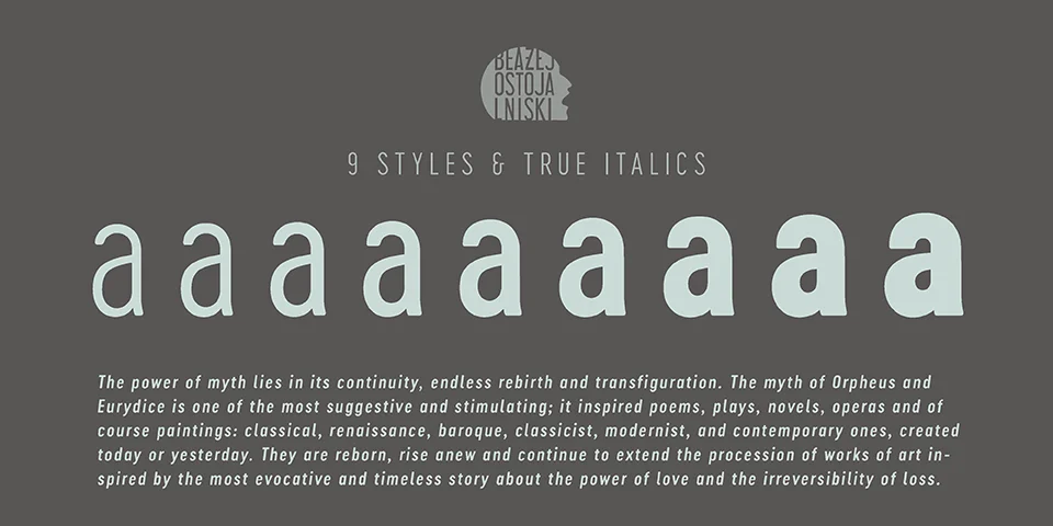 Cervo Neue Font Family