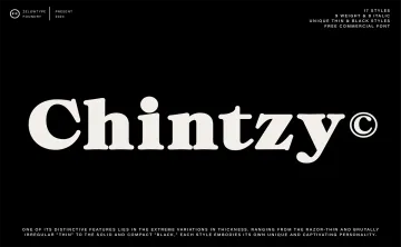 ZT Chintzy Font