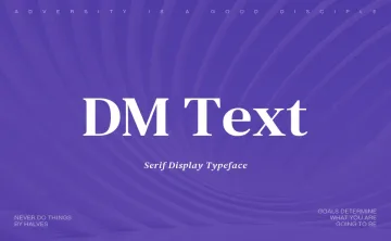 DM Serif Text Font