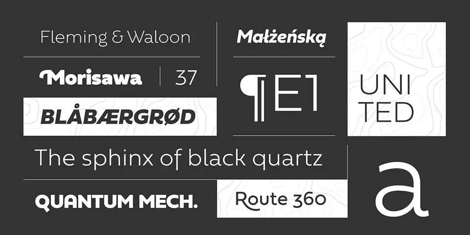 Fieldwork Font Family