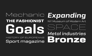 Geogrotesque ES Font Family