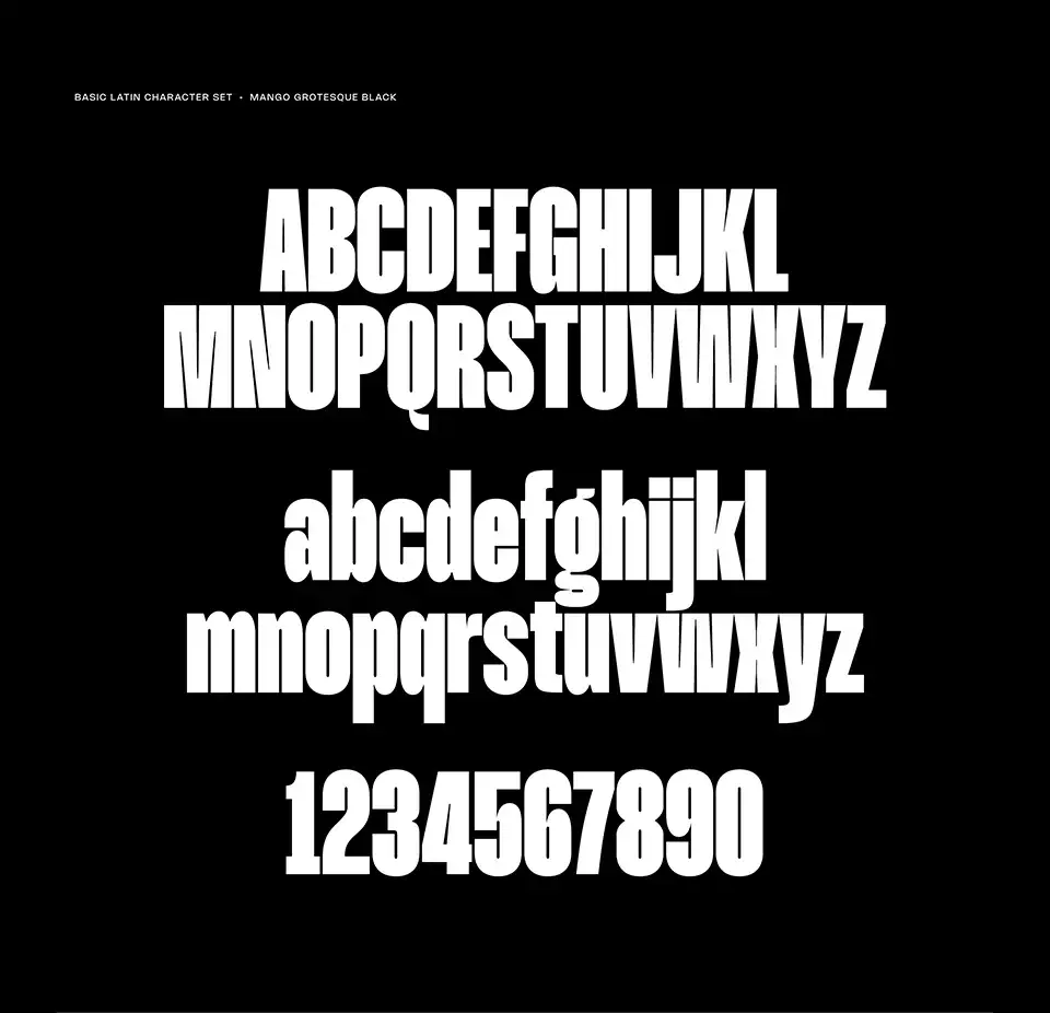 Mango Grotesque Font