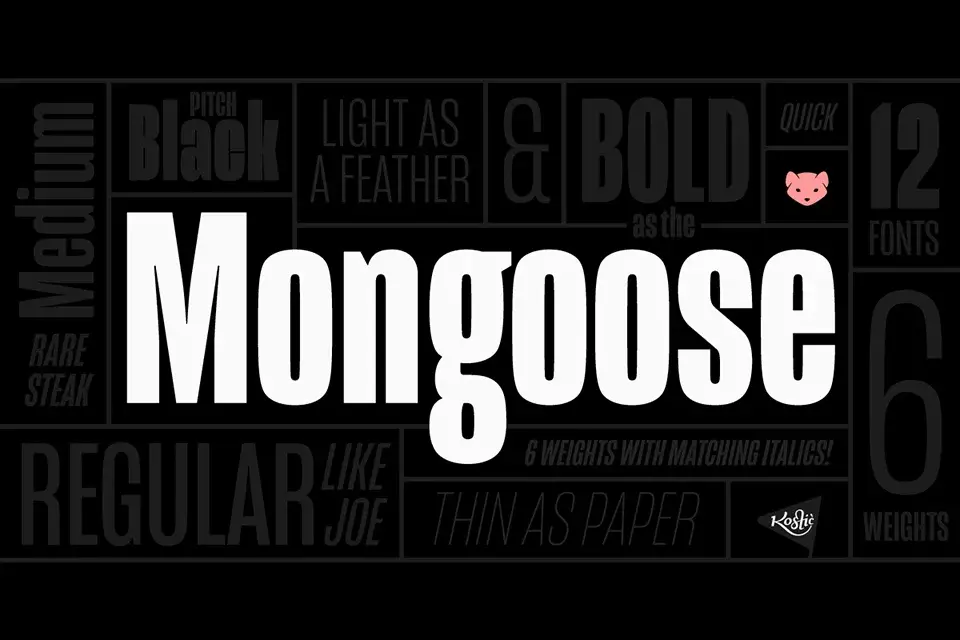 Mongoose Font Family