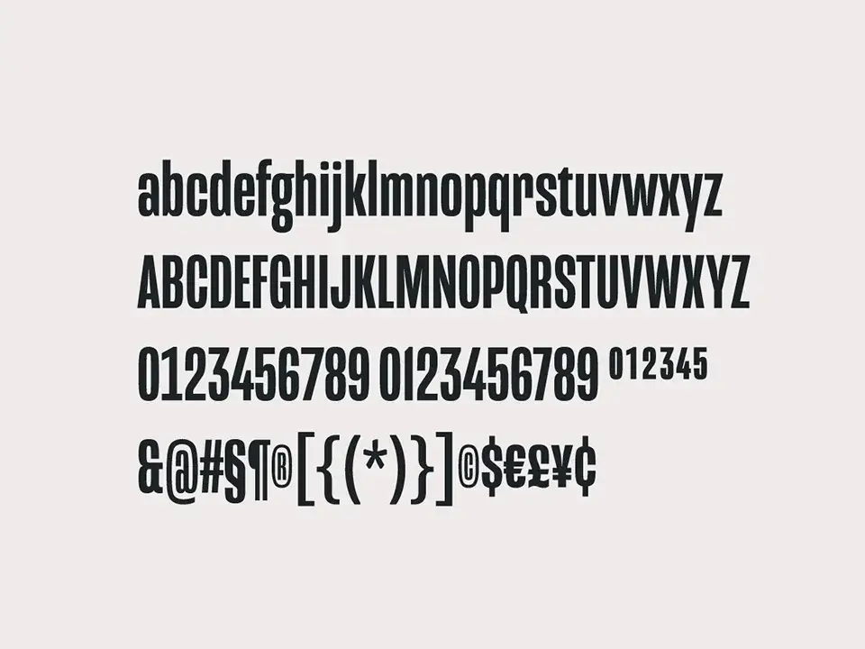 Mongoose Font Family