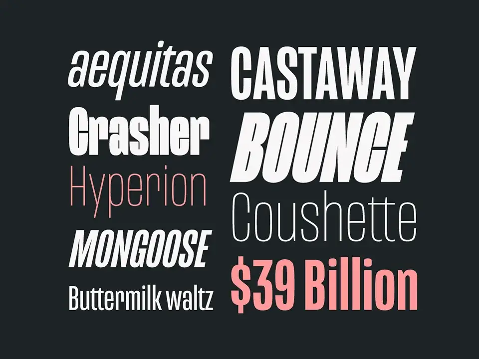 Mongoose Font Family