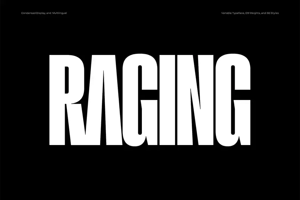 Raging Font Family