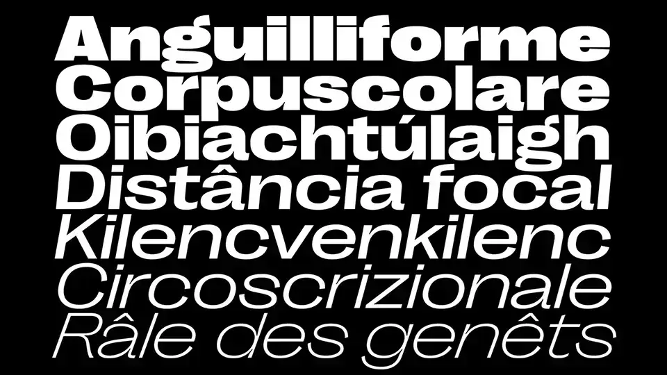 Right Grotesk Font Family