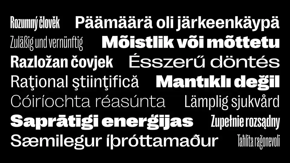 Right Grotesk Font Family