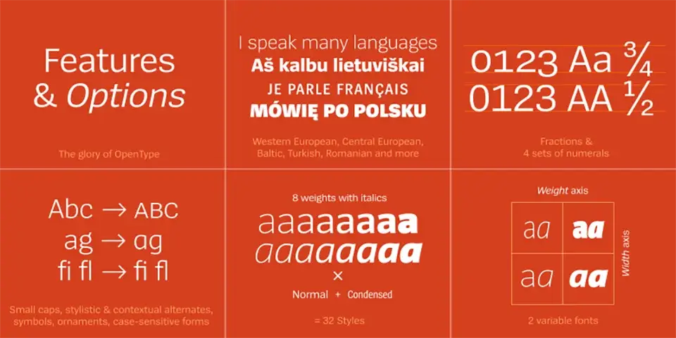 Spiegel Sans Font Family