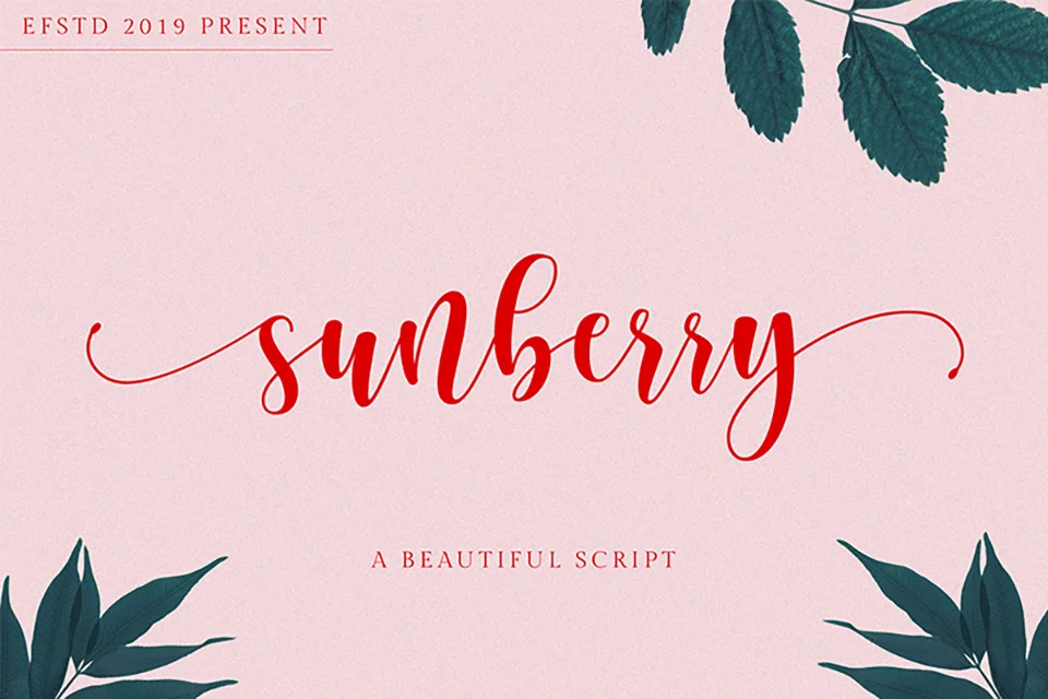 Sunberry Script Font