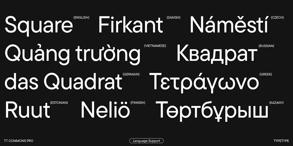 TT Commons Pro Font Family