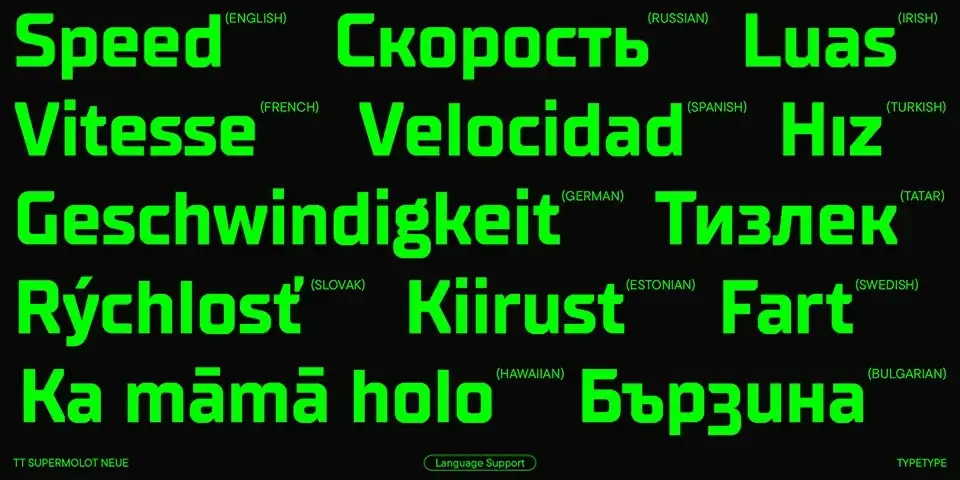 TT Supermolot Neue Font Family