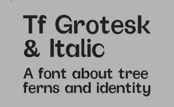 Tf Grotesk Typeface