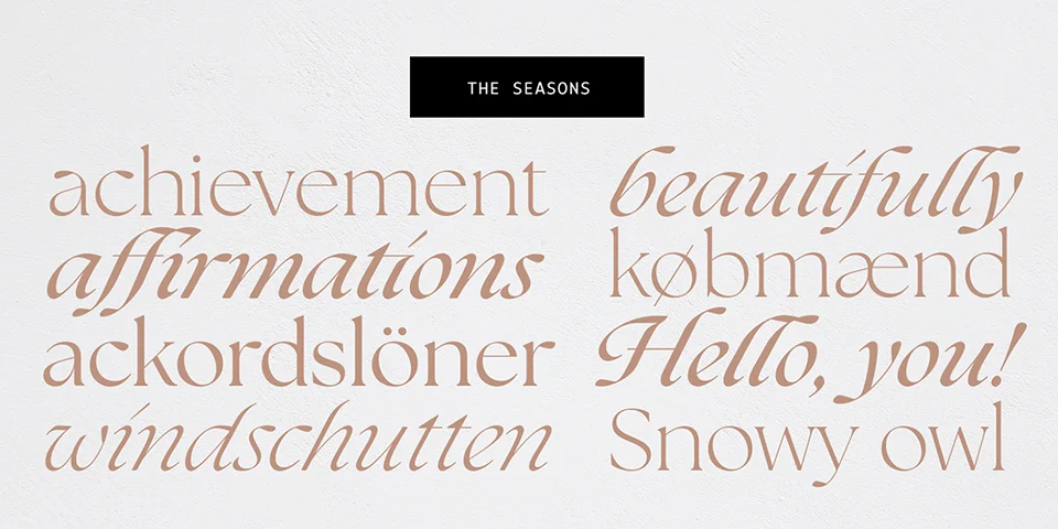 The Seasons Font Family