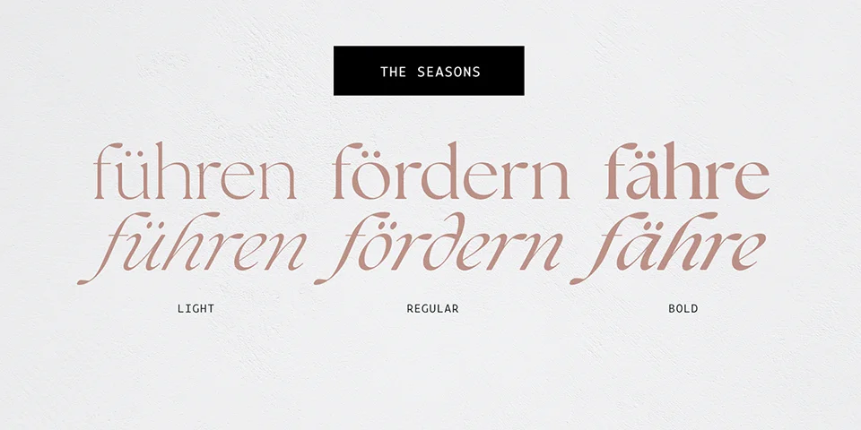 The Seasons Font Family free download