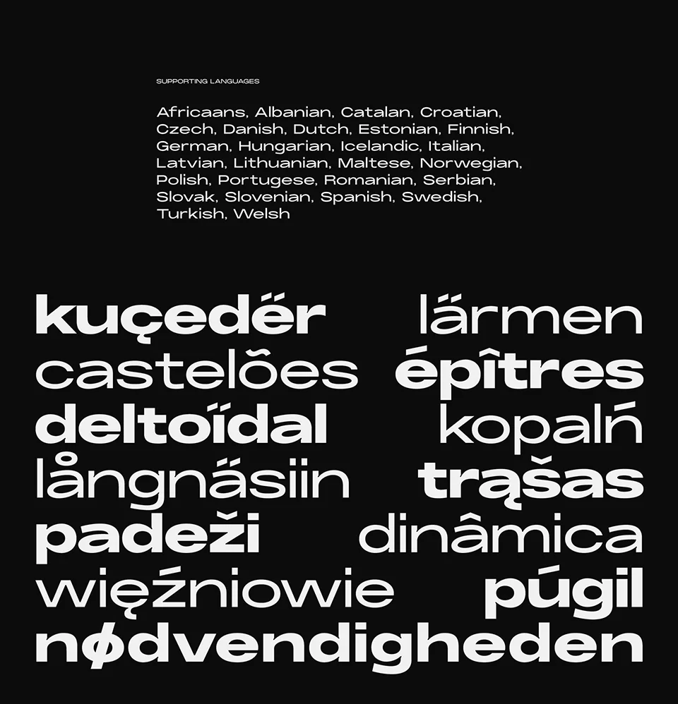 Modern font download