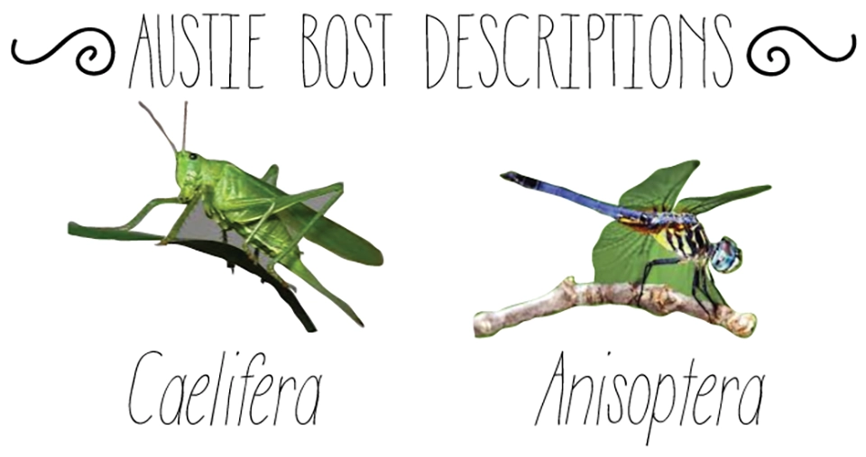 Austie Bost Descriptions Font
