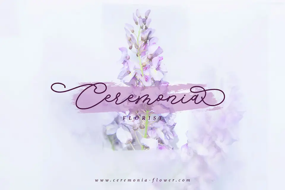 Bella Vista Font