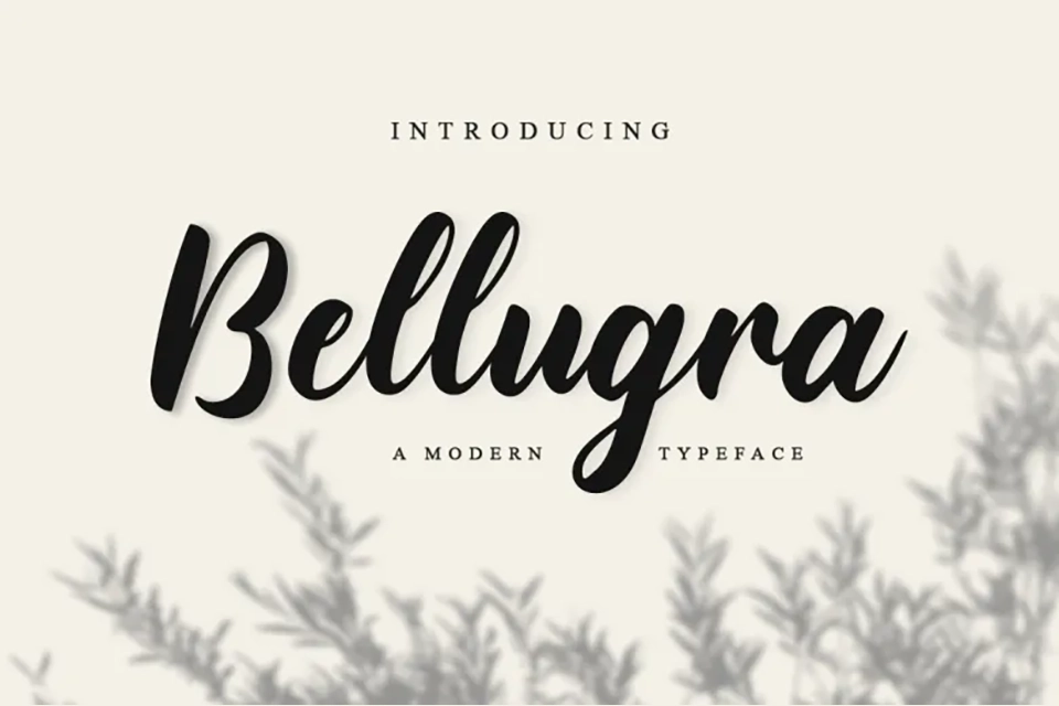 Bellugra Font