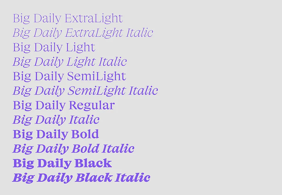 Big Daily Font Family