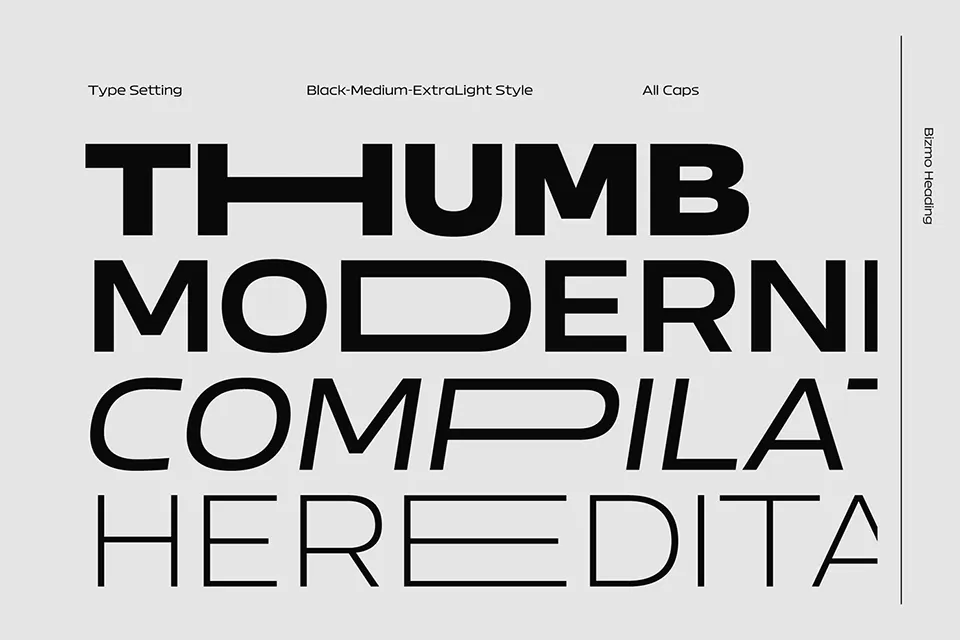 Bizmo Font Family