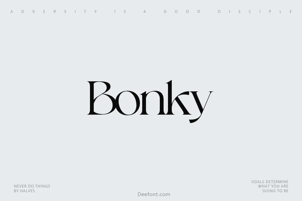 Bonky Font