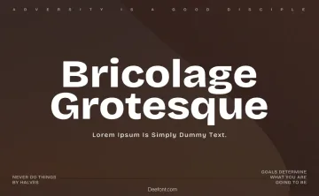 Bricolage Grotesque Font Family