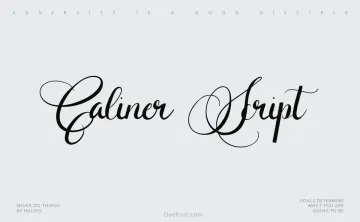 Caliner Script Font