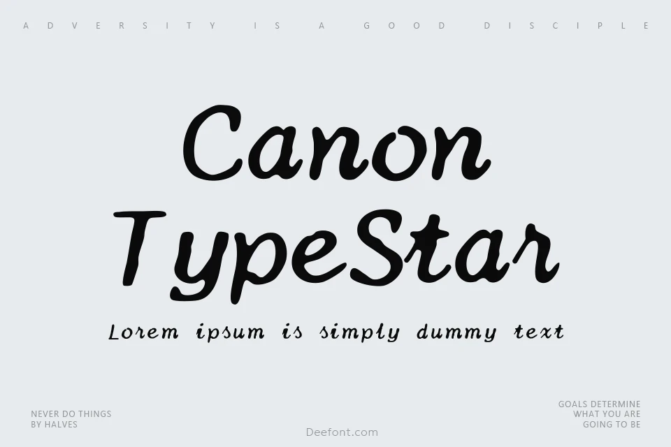 Canon TypeStar 210 Font