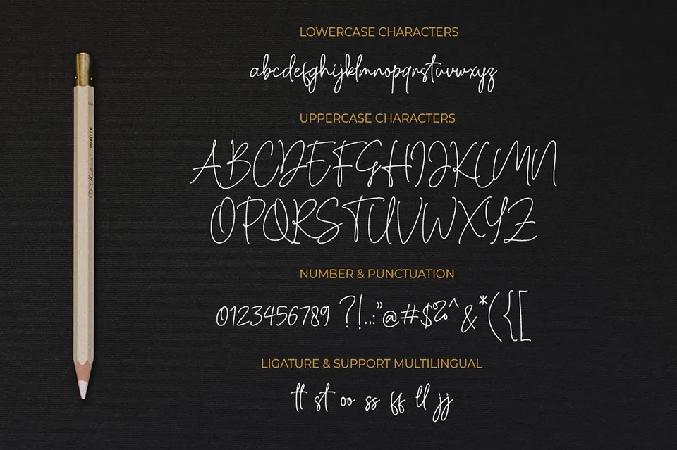 Cassual Signature Font