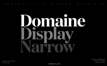 Domaine Display Narrow Font Family